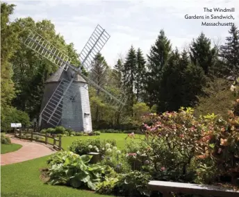  ??  ?? The Windmill Gardens in Sandwich, Massachuse­tts