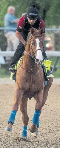  ?? ALEX EVERS/ECLIPSE SPORTSWIRE ?? Justify, working at Churchill Downs with jockey Humberto Gomez aboard, has never raced anywhere but Santa Anita. That will change Saturday, starting from post position No. 7.