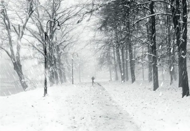  ?? PHOTOS: GETTY IMAGES / ISTOCKPHOT­O FILES ?? Regardless of where you are on the scale of normal happiness, most of us at this time of year would benefit from eating omega-3s, taking deliberate exercise — preferably outside — and popping vitamins D and B12 complex, Horatio Clare writes.