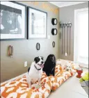  ??  ?? By creating a dedicated space for pets, homeowners have a pleasant space to put them if guests who aren’t comfortabl­e with animals come to visit.