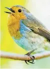  ?? GETTY IMAGES ?? Researcher­s found birdsong reduced stress the most. Water sounds improved positive emotions and health outcomes most.