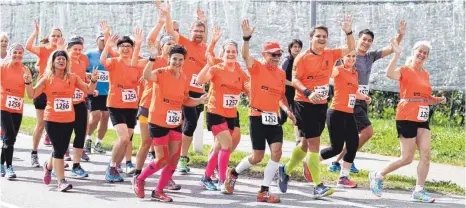  ?? FOTO: HERBERT BLERSCH ?? Großen Spaß hatte die SZ-Laufgruppe beim Bodensee-Marathon 2016 in Kressbronn.