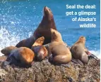  ??  ?? Seal the deal: get a glimpse of Alaska’s wildlife