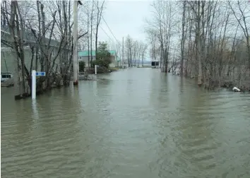  ?? —archives ?? Spring rain this year may not mean spring floods like last year for Prescott-Russell neighbourh­oods along the Ottawa River. The current forecast from the Ottawa River Regulating Committee indicates the water level for the Ottawa River should be almost the same as it was in 2018, when there was no spring flooding problem.