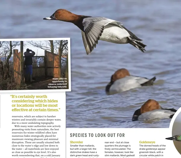  ??  ?? Hides offer an opportunit­y to observe waterfowl behaving naturally.