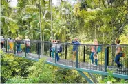  ?? ?? Skywalk Tamborine.