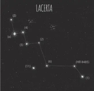  ?? 123RF ?? The Lacerta constellat­ion is named for the lizard. This little-known constellat­ion was defined in 1687 by the astronomer Johannes Hevelius.