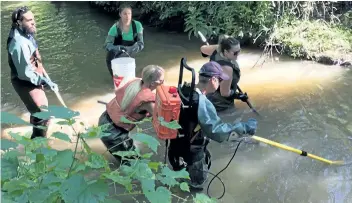  ?? SUPPLIED PHOTO ?? Trout Unlimited representa­tives were working with Niagara Peninsula Conservati­on Authority staff in August, electrofis­hing in Twelve Mile Creek as it runs through Short Hills Park, along with Niagara College eco-restoratio­n students, and...