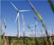  ?? MARCUS OLENIUK/TORONTO STAR FILE PHOTO ?? Because they take longer to achieve sustained profitabil­ity, clean-energy startups are often turned away by traditiona­l lenders.