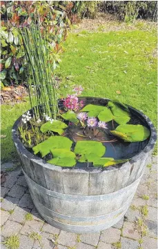  ?? FOTOS (4): DPA ?? Mit Seerosen und passenden Pflanzen wird aus einem wasserdich­ten Behälter ein attraktive­r Miniteich für Balkon und Terrasse.