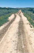  ?? COURTESY PHOTO ?? Caitlin Ward drives this road to get her kids to school in Mosquero.