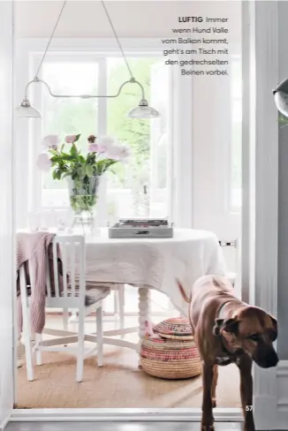  ??  ?? LUFTIG Immer wenn Hund Valle vom Balkon kommt, geht’s am Tisch mit den gedrechsel­ten Beinen vorbei.