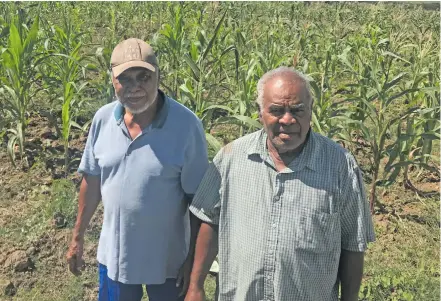  ?? Charles Chambers ?? From left: Fani Cheer with Mike Brown in front of the cornfield at Karavi on August 22, 2019. Photo: