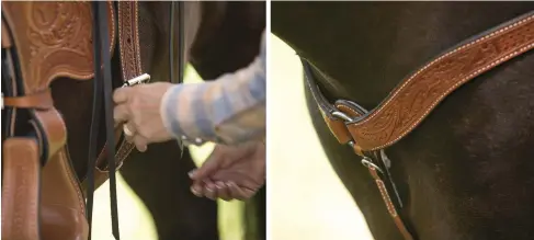  ??  ?? LEFT: A flank cinch secures the back of your trail saddle when your horse rounds his back. RIGHT: A breastcoll­ar helps keep your saddle from slipping back when going uphill. I prefer a wide, sculpted breastcoll­ar for comfort. Fit the breastcoll­ar so it...