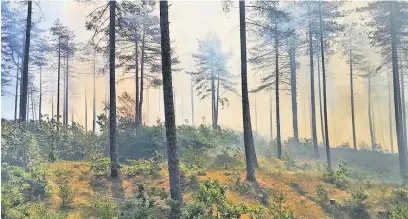  ?? Picture: Kidwelly Fire Station ?? How the blaze at Pembrey Country Park looked from the firefighte­rs’ point of view.