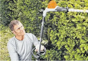  ?? FOTO: DJD/STIHL ?? Ein Heckenschn­eider mit langem Schaft ist sicher und komfortabe­l.