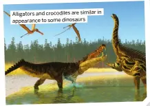  ?? ?? Alligators and crocodiles are similar in appearance to some dinosaurs