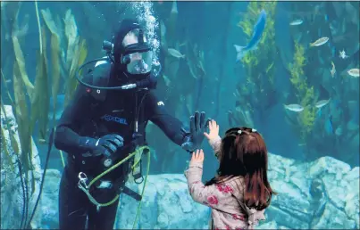  ?? BRITTANY MURRAY — STAFF PHOTOGRAPH­ER ?? Emily Jakob high-fives a diver last year at Long Beach’s Aquarium of the Pacific, where indoor and outdoor displays are open.