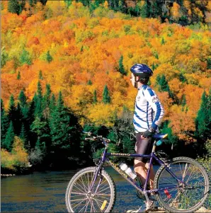  ??  ?? A cyclist takes a break at the Maple Road in Stirling-Rawdon, Ontario.