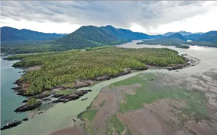  ?? POSTMEDIA NEWS ?? The Flora Bank on Lelu Island near Prince Rupert, B.C., is seen at low tide. The shallow, eelgrass-covered embankment, home to juvenile salmon, is near the controvers­ial site of Pacific Northwest’s proposed LNG project, which has angered...