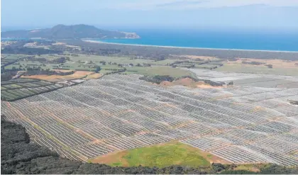  ?? Photo / Peter de Graaf ?? The area around Houhora on the Aupo¯ uri Peninsula has seen a boom in avocado growing in recent years but growers say that’s threatened by uncertaint­y over water-use consents.