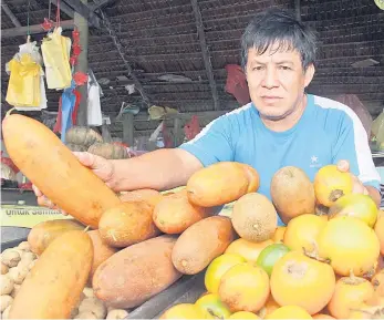  ??  ?? Retiree Matthew Gamap from Kampung Bumbok sells local vegetables along the Old Bau Road in Kuching. He sells ‘Terung Dayak’ for RM8 per kg and ‘Timun Dayak’ for RM4 per kg. — Photo by Chimon Upon