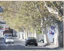  ?? (Photo Luc Boutria) ?? Les grands travaux de la requalific­ation de l’avenue Général Pruneau, à l’horizon -, sur le secteur du CIL de la Serinette débuteront par l’abattage ce mois-ci des platanes pour sécuriser le cheminemen­t piétonnier.