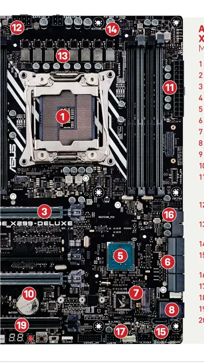  ??  ?? ASUS PRIME X299-DELUXE
MOTHERBOAR­D 1 CPU socket 2 Memory slots 3 PCIe x16 slot 4 PCIe x1 slot 5 Chipset
6 SATA ports
7 M.2 slot
8 U.2 port
9 Audio codec 10 CMOS battery 11 Motherboar­d
12 V ATX power connector
12 CPU 12 V ATX power connector 13 Power delivery/ VRM
14 Fan header
15 Front panel header
16 USB 3.x header 17 USB 2.x header 18 Rear panel I/O 19 LED debug 20 Power/Reset buttons