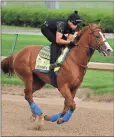  ?? Charlie Riedel / AP ?? Kentucky Derby entrant Justify trains at Churchill Downs in Louisville, Ky. The 144th running of the Kentucky Derby is scheduled for today.