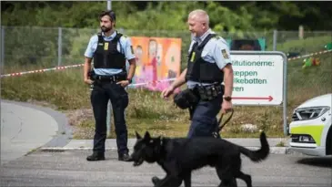  ?? ARKIVFOTO: TIM KILDEBORG JENSEN ?? En hundepatru­lje afsøger området omkring gerningste­det i Brabrand. Ingen af de våben, der blev brugt i opgøret, er fundet.