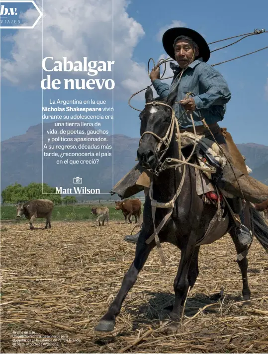  ??  ?? Tírame un lazo
Un gaucho reúne a los terneros para etiquetarl­os en la estancia de Pampa Grande, en Salta, al norte de Argentina.