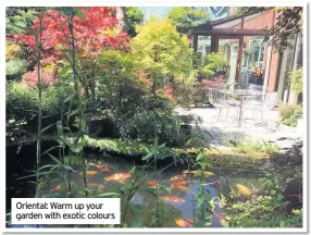  ??  ?? Oriental: Warm up your garden with exotic colours