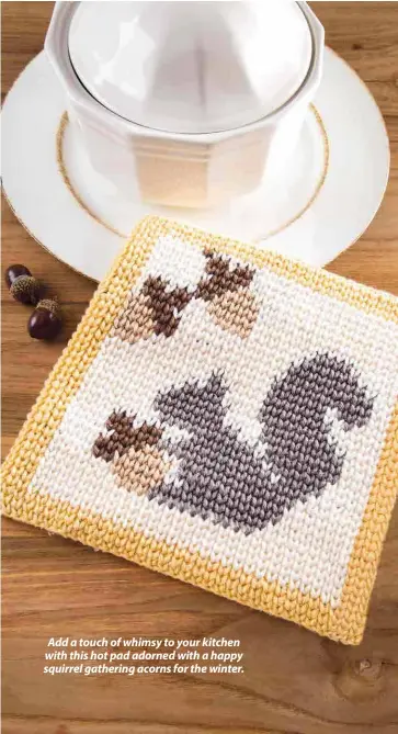 ??  ?? Add a touch of whimsy to your kitchen with this hot pad adorned with a happy squirrel gathering acorns for the winter.
