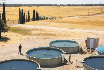  ?? Photos by Jessica Christian / The Chronicle ?? Top: Michael Passmore walks among sturgeon tanks on his 86acre property in Sloughhous­e.