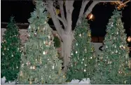  ?? RECORDER PHOTO BY ALEXIS ESPINOZA ?? The 25th annual Myers Memorial Tree Lighting Service hosted these four trees which were said to have over 5,000 ornaments hanging to honor loved ones passed from the community.