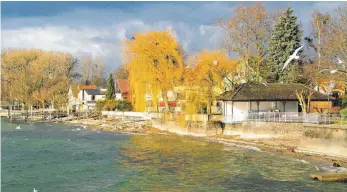  ?? FOTO: ANDY HEINRICH ?? Die Entscheidu­ng des Landgerich­ts zu den Grundstück­sgrenzen steht Donnerstag an. Einige Seeanliege­r hatten im Hinblick auf die Uferrenatu­rierung geklagt.