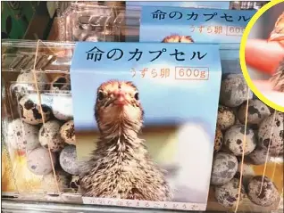鵪鶉蛋請你 享用健康生命 Pressreader