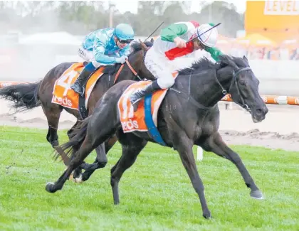  ?? Photo / Bruno Cannatelli ?? Aegon will contest the Group 1 Captain Cook Stakes (1600m) at Trentham on Saturday.