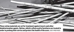  ?? DOST-FPRDI PHOTO ?? These rattan materials are set for treatment against insects and other biodeterio­ration agents. Rattan, which is often used in furnitures are treated in order to prolong their service and protect the health of the users.