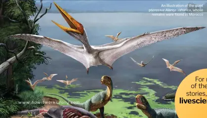 Pterosaurs Flight In The Age of Dinosaurs Exhibit Catalogue