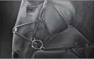  ?? PHOTO PROVIDED ?? Charcoal drawings by Siobhan Stanton of Hastings-OnHudson will be available at the upcoming Saratoga Arts Celebratio­n.