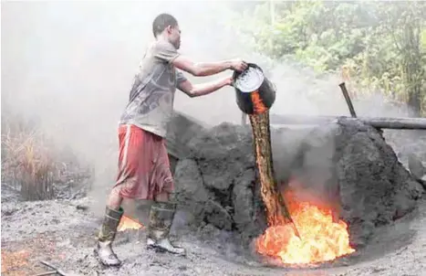  ?? ?? Illegal artisanal refinery site discovered by governor Nyesom Wike in Port Harcourt