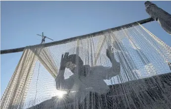  ??  ?? CLOSE TIES: A fisherman cleaning his net near the Irrawaddy River. Cooperatio­n between humans and dolphins has frayed in the last decade as Myanmar has emerged from a half-century of isolation.