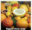  ??  ?? Biggest citrus range