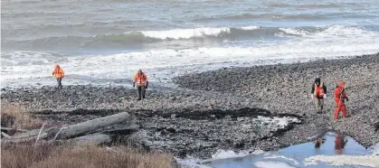  ?? TIM KROCHAK • CONTRIBUTE­D ?? Searchers scour the shore near Parker’s Cove, Annapolis County on Wednesday while conducting a search for the five remaining crew members of the Chief William Saulis, which sank Tuesday.