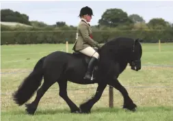  ??  ?? Greenholme Emblem claims the TopSpec supreme ridden title