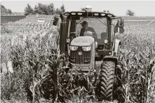  ?? Nati Harnik / Associated Press ?? Farmer Tim Novotny of Wahoo, Neb., shreds male corn plants in a field of seed corn in 2018.