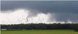  ?? GARY COSBY JR./THE TUSCALOOSA NEWS ?? A tornado touches down near Moundville, Ala., Wednesday. Forecaster­s said still more severe weather was expected with the potential for massive tornadoes.