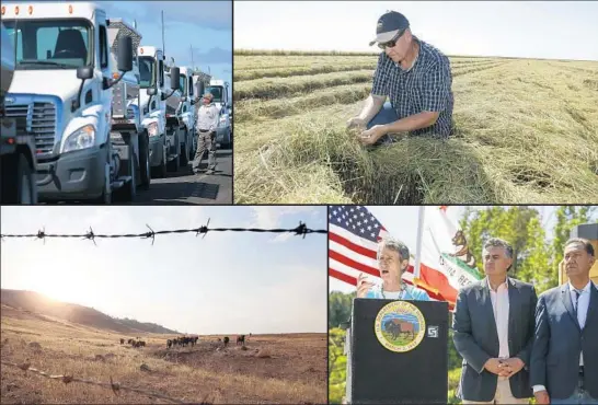  ?? Photograph­s by (clockwise from top left): Getty Images, Associated Press, Getty Images, Associated Press ?? CLOCKWISE from top left, the drought has forced officials to truck fingerling salmon to San Pablo Bay; Sacramento Valley farmer Mike DeWitt has planted 25% less rice than normal because of water cutbacks; U.S. Interior Secretary Sally Jewell announces...