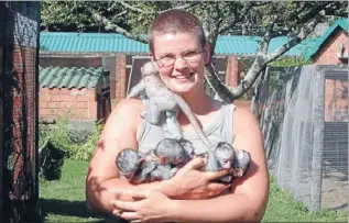  ??  ?? Helping hand: Auckland zookeeper Emma Wells with an armful of orphaned vervet monkeys she hand-reared in Africa.